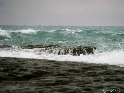 445755 (a): :2592x1944